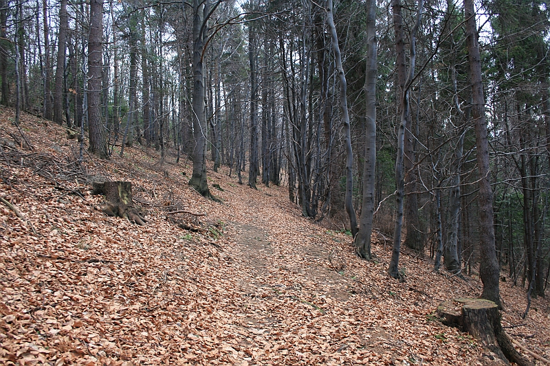 Gora Zar 015